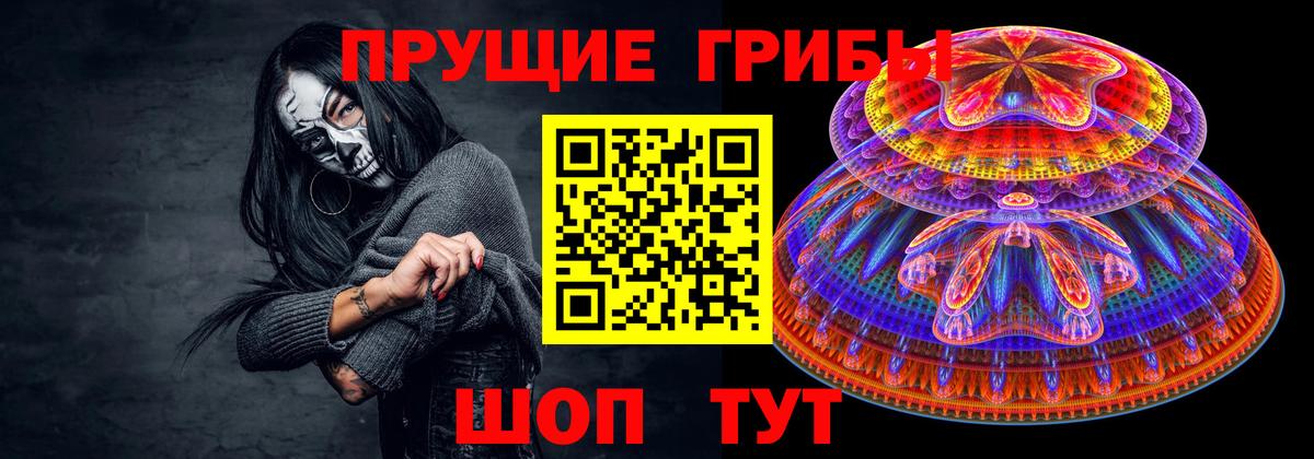 Куйбышев  Галлюциногенные грибы GOLDEN TEACHER  Вход с VPN 